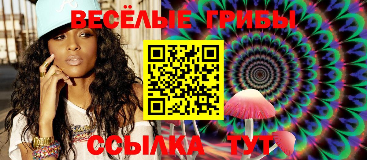 Галлюциногенные грибы Psilocybe Каменка
