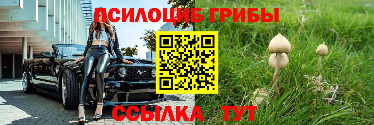 Галлюциногенные грибы Psilocybine cubensis  Вход с VPN  Каменка 